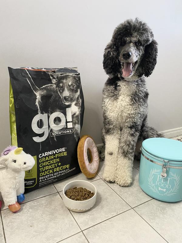 Go solutions shop dog food review