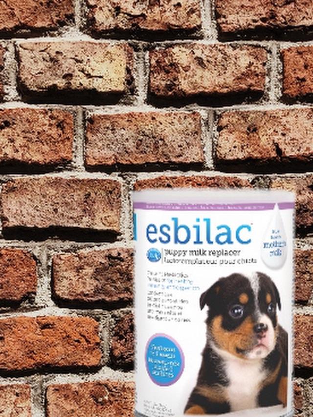 PetAg Esbilac Puppy Milk Replacer Powder, 28 Petco