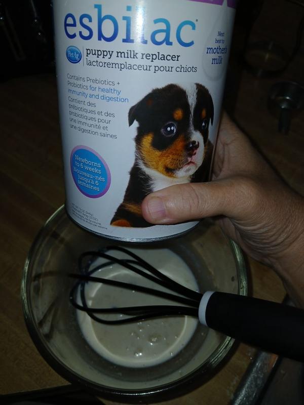 PetAg Canine Esbilac Powder, 12 oz Meijer