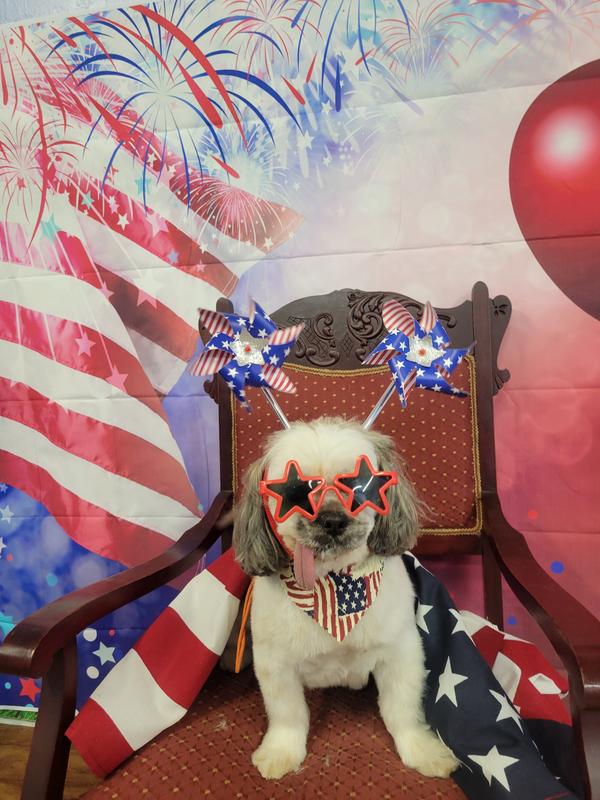 Getting ready for the 4th of July