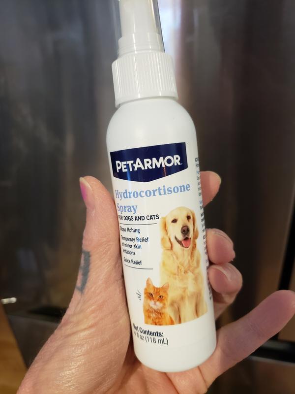 Is Cortisone Good For Dogs