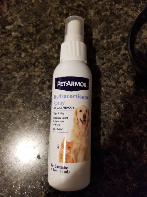 Can Dogs Use Cortizone 10