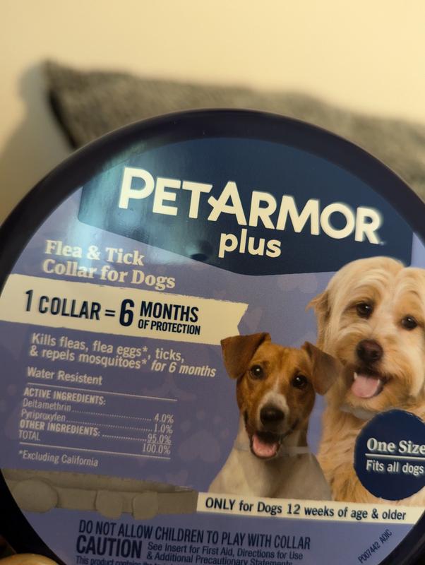 PetArmor Plus Flea & Tick Collar for Dogs, Pack of 2 Petco