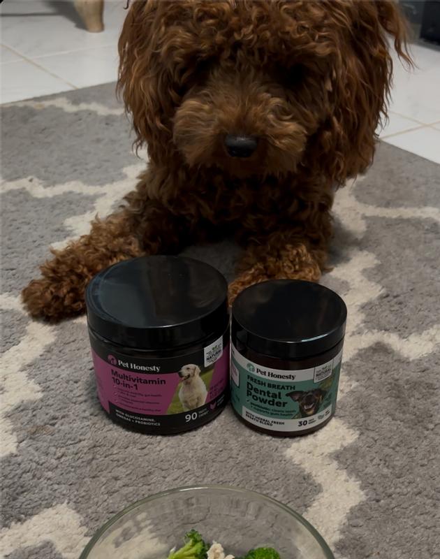 Essential pet small breed multivitamin hot sale
