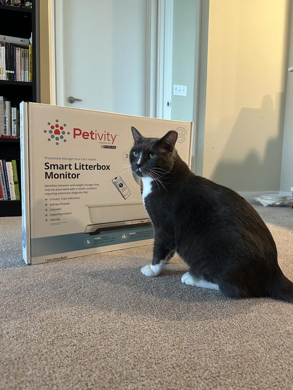 Petivity Smart Litterbox Monitor Review: Helpful Health Alerts