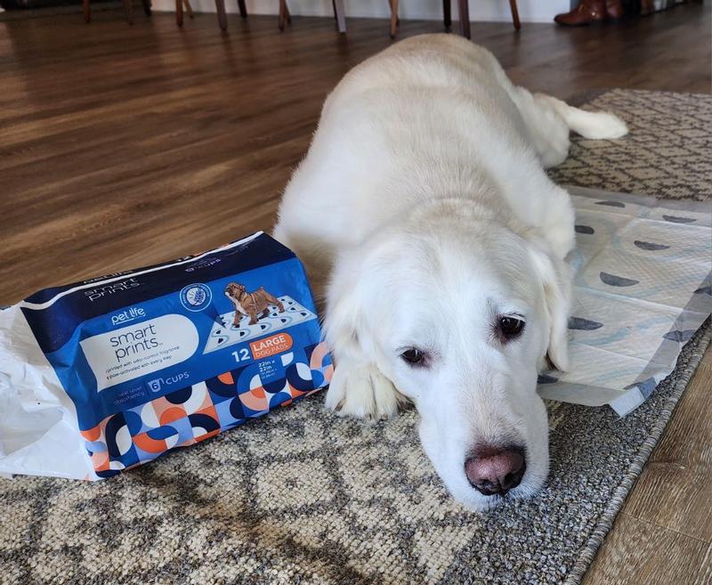 Pet Life Unlimited Dog Pads Smart Prints Large 40ct Meijer