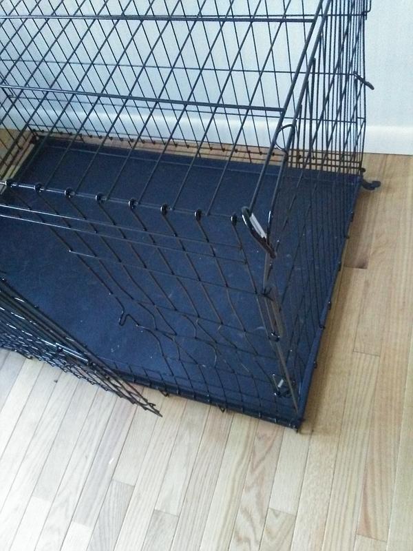 Petmate wire clearance dog crate