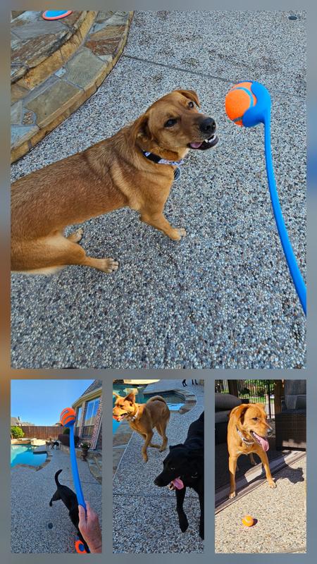 Photo - commentaire&nbsp;5.