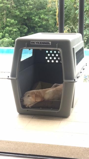 It's perfect to take my nap