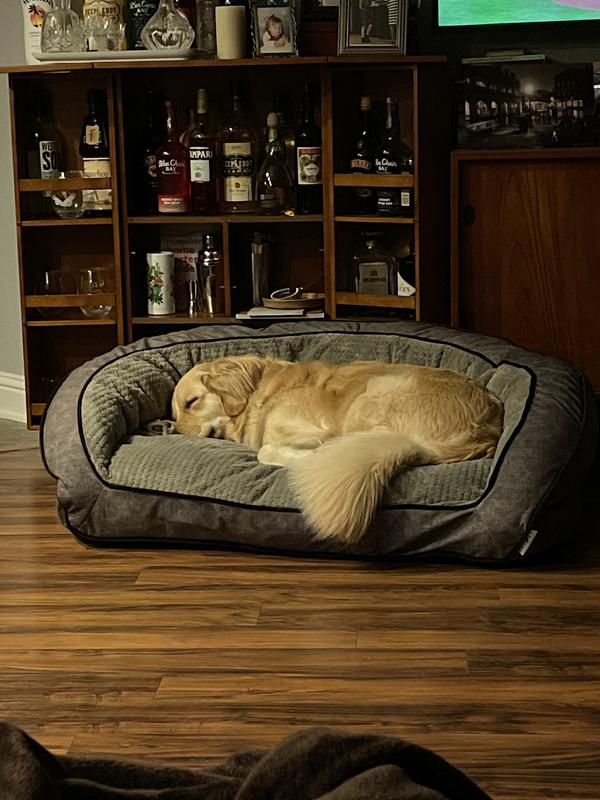 Photo from Dog Mama to 3