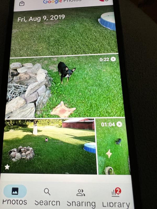 2020 with her frisbee