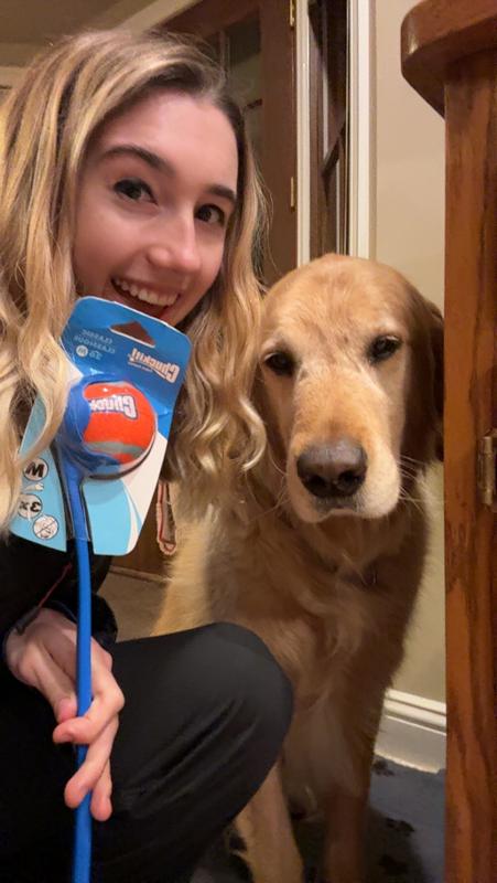 Photo - commentaire&nbsp;6.