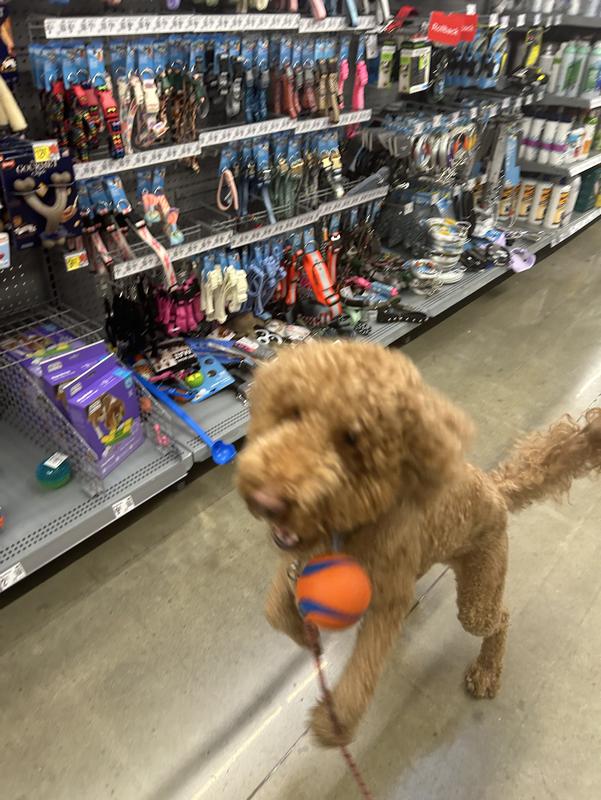 Photo - commentaire&nbsp;2.