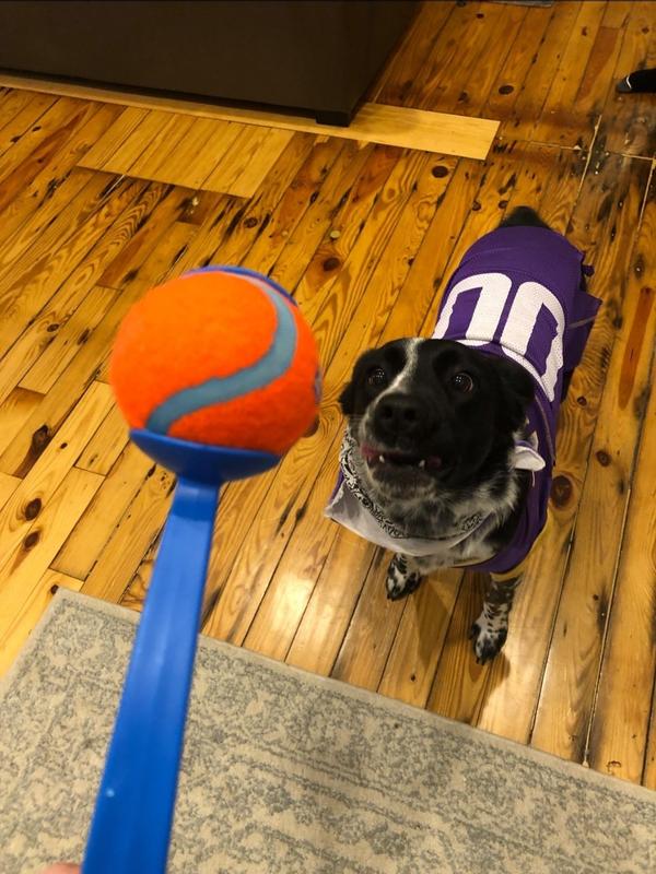 Photo - commentaire&nbsp;4.