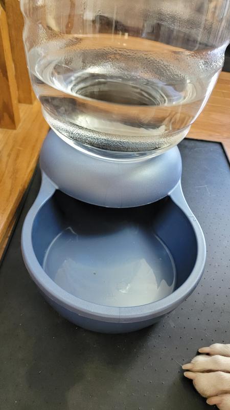 Bowl is empty but jug has plenty of water.