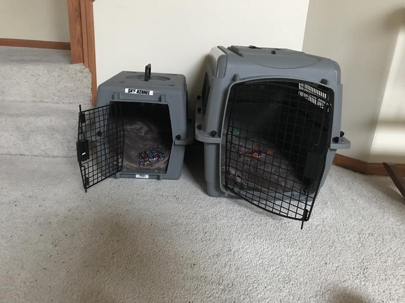 Petmate Sky Kennel Airline Approved Pet Kennel – Pet Crates Direct