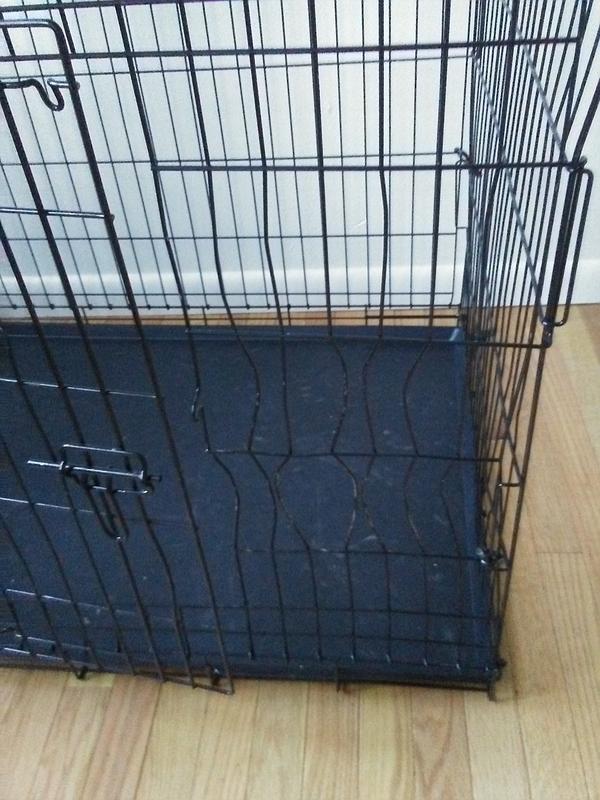 Petmate wire dog crate sale