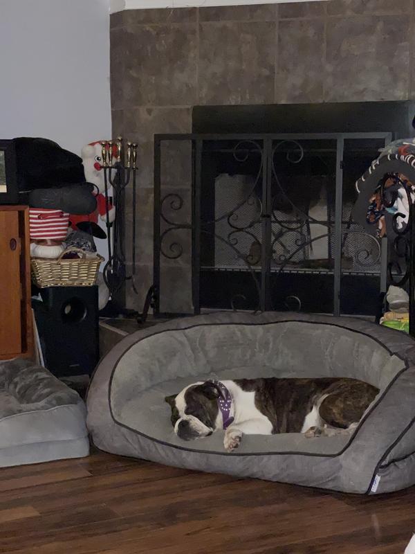 Photo from Dog Mama to 3