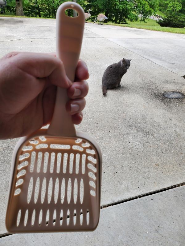 One of these may not actually be the correct size guess which one.