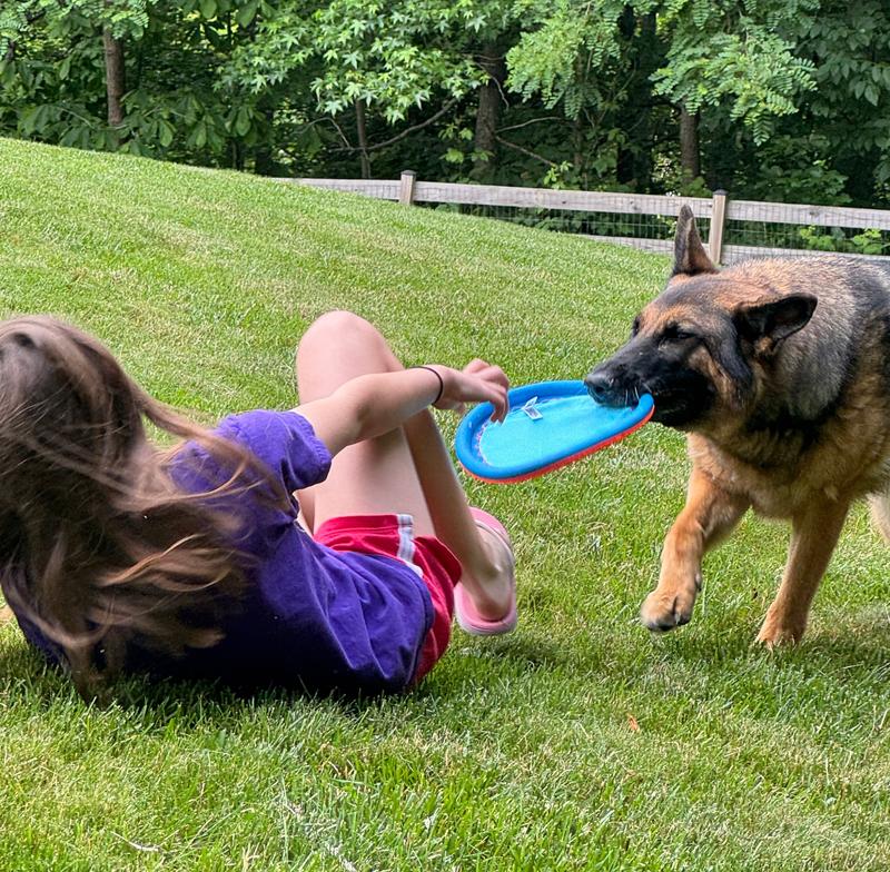 Photo - commentaire 8.