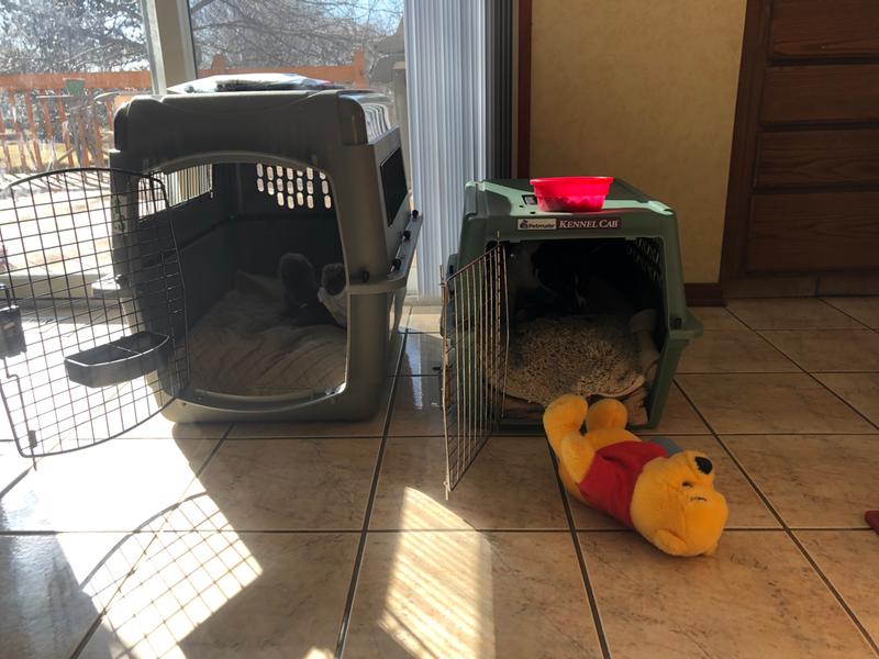 Sky kennel on the left