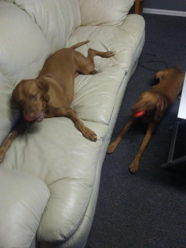 Loving life