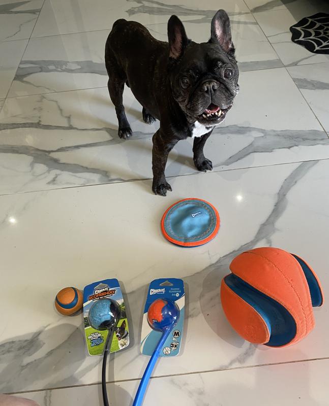 Photo - commentaire&nbsp;1.