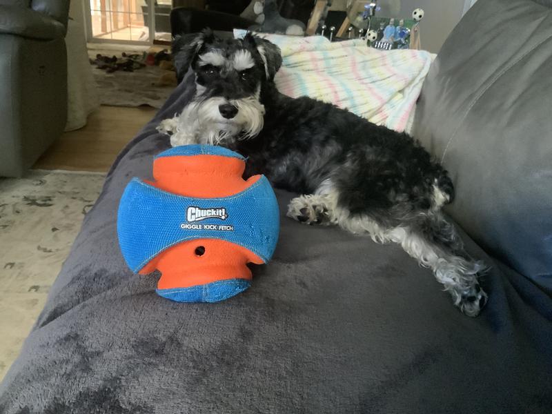 My Favorite toy