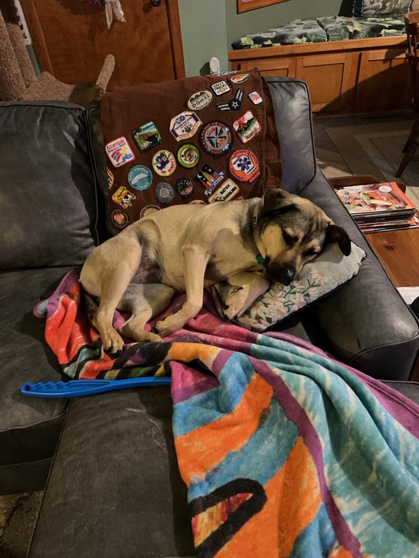 Photo - commentaire&nbsp;7.