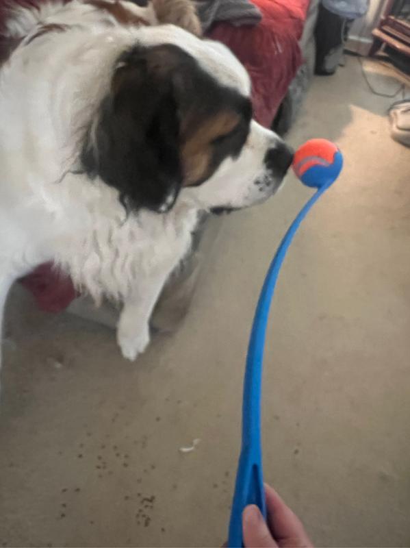 Photo - commentaire&nbsp;8.