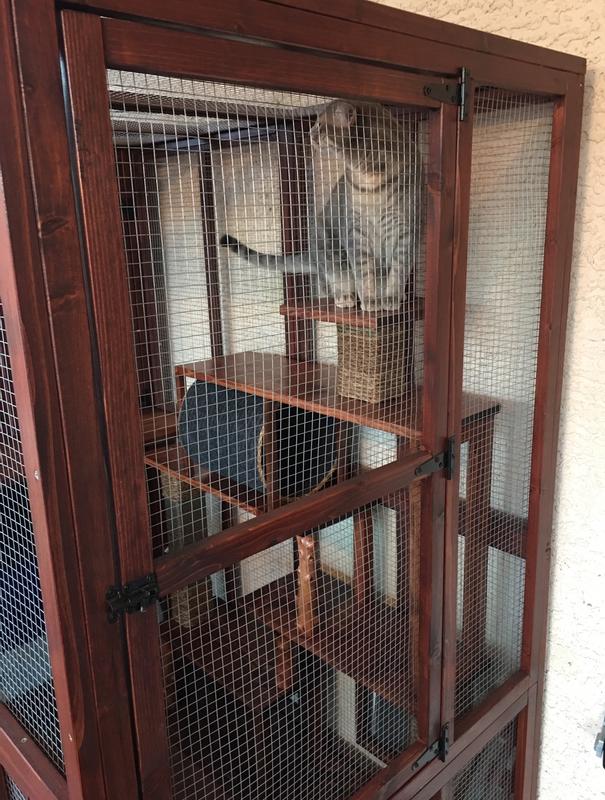 Petsmart catio store