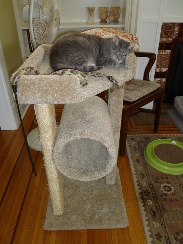 bella cat tree