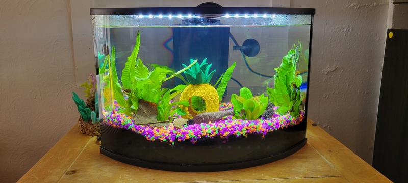 Petsmart corner tank best sale