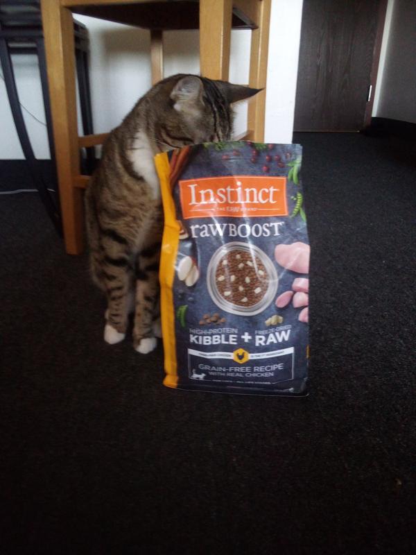 Nature s Variety Instinct Raw Boost Dry Cat Food Only Natural Pet