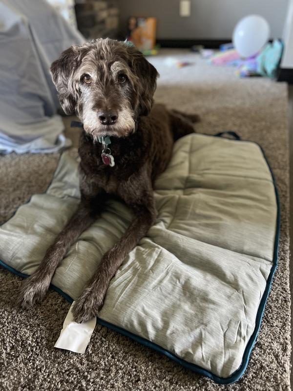 Arcadia Trail Water Repellent Cooling Dog Blanket