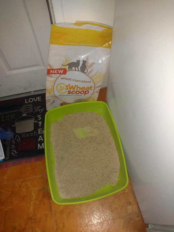 swheat scoop petsmart