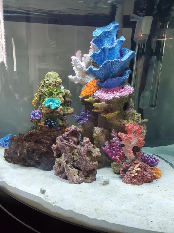 Top Fin Coral Rock Aquarium Ornament Fish Ornaments Petsmart