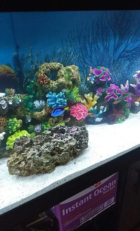 petsmart fish tanks 125 gallon