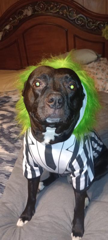 Halloween Beetlejuice Dog Costume Hoodie