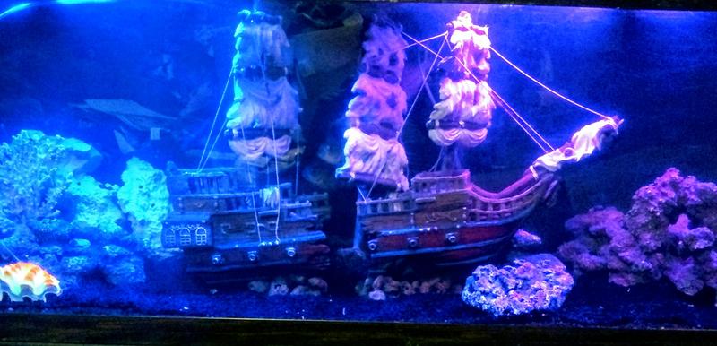 top fin ship aquarium ornament