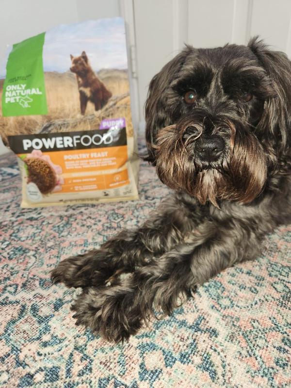 Only natural pet dog food outlet reviews