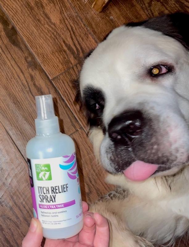 Itch Relief Spray with Aloe Tea Tree for Dogs Only Natural Pet
