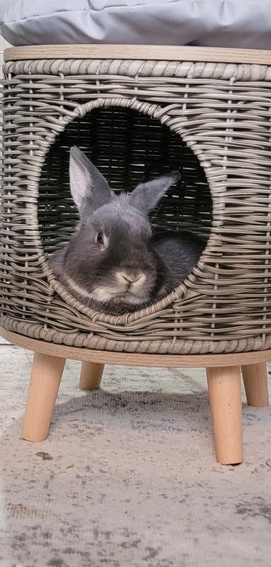 Whisker City 16 in Wicker Cat Lounger