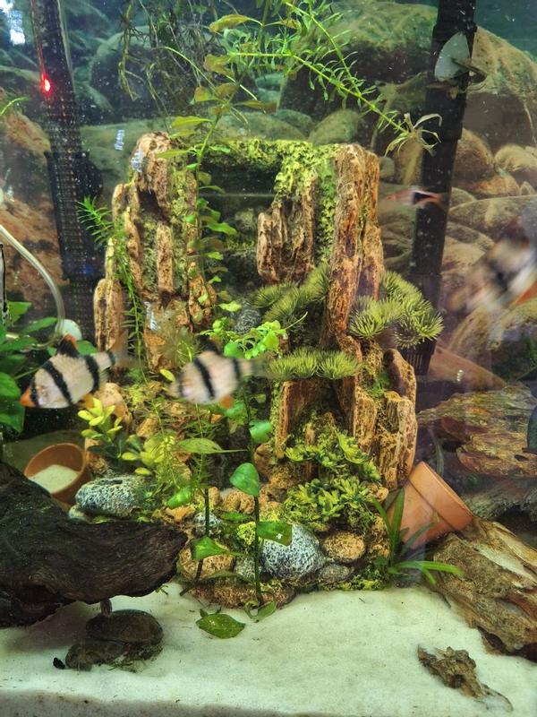 Mountain cliff waterfall aquarium ornament best sale