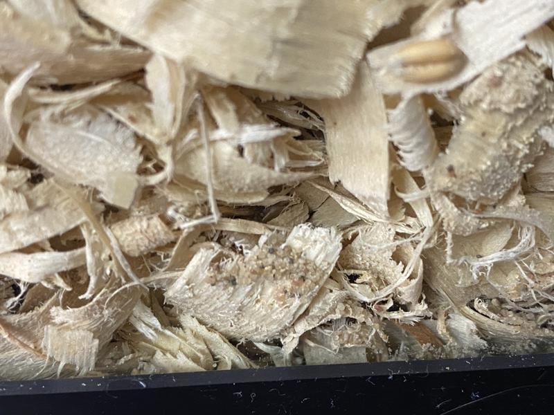 Petsmart wood shavings sale