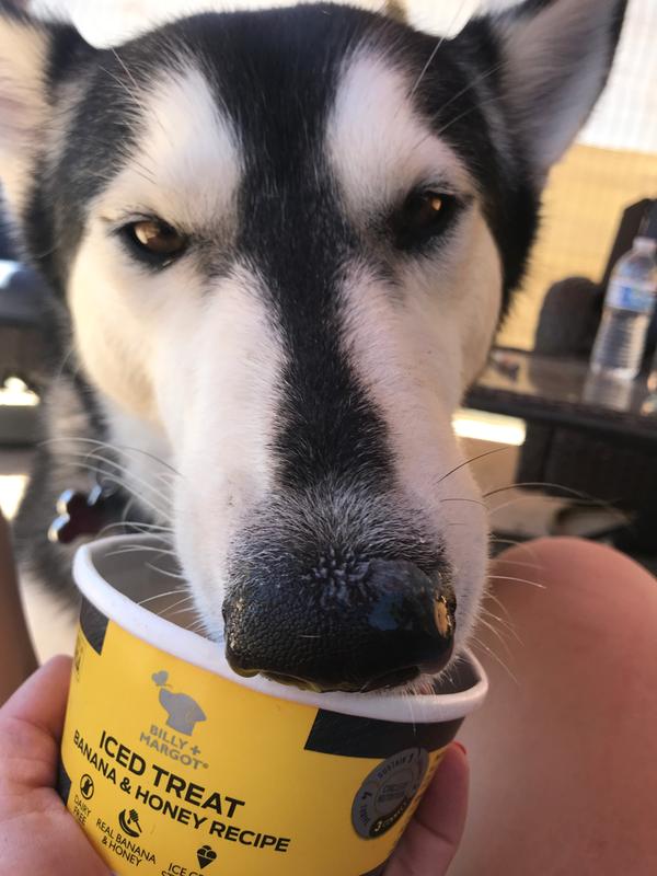 billy and margot ice cream