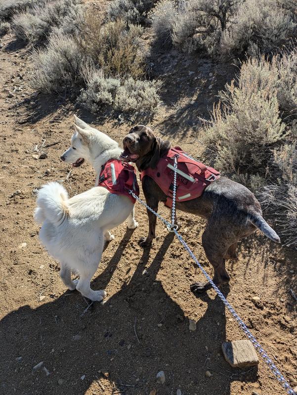 Top Paw Double Coupler Dog Leash