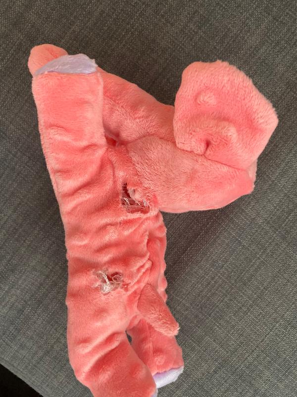 top paw tuff with bite shield