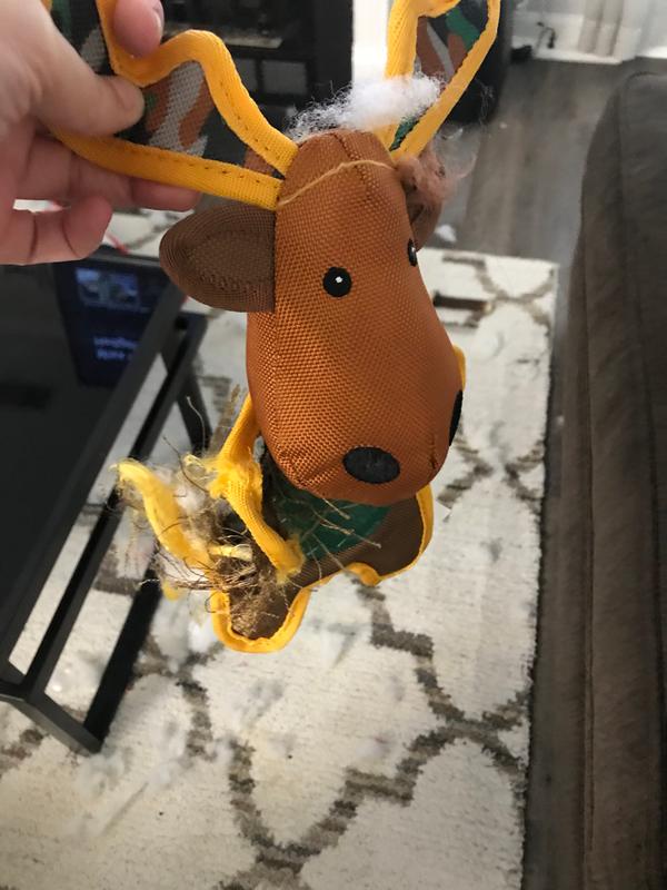 moose dog toy petsmart