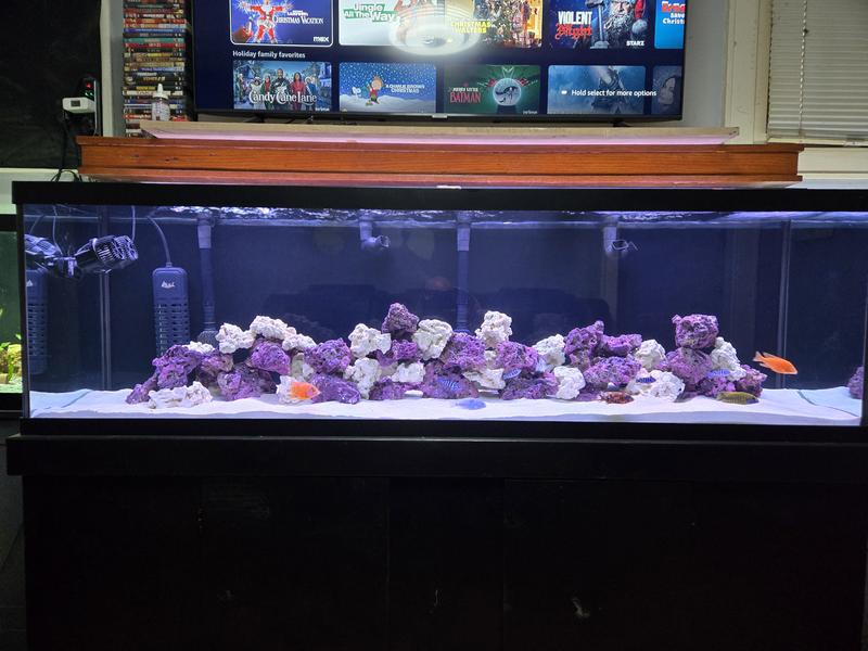 Petsmart 125 gallon best sale